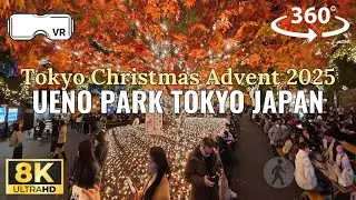 Tokyo Christmas Advent 2025 – Ueno Park | 8K 360° VR Walk | Winter Lights & Holiday Atmosphere