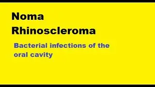 Noma, Rhinoscleroma: Bacterial infections of the oral cavity