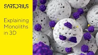 Monolithic Chromatography Explained in 3D
