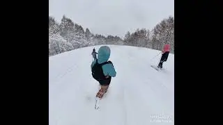 Aomori Spring Panorama Course Trees & Trails