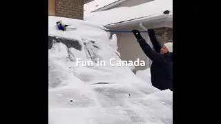 Just a Normal Day Digging for My Car, Nothing to See Here 😐