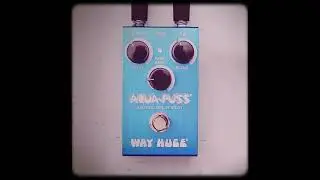 Quick Hit: Way Huge&reg; Smalls&trade; Aqua-Puss&trade; Analog Delay Take 1