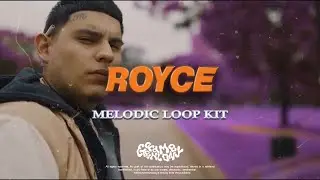 [+5] MELODIC PAIN LOOP KIT (DeeBaby, NoCap, Rod Wave, Rylo Rodriguez)