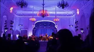 Amelie. Le Concert