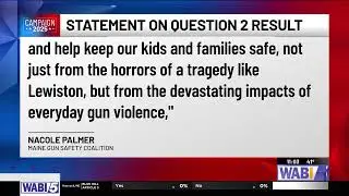 Maine voters approve red flag gun law