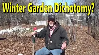 Deep Mulch Winter Garden Dichotomy