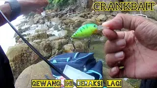 Casting Kerapu Guna Gewang Crankbait || Killer Ker Gewang Ni???