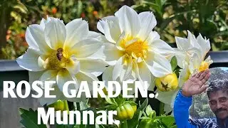 Rose Garden & Cactus 🌵 Collections. Munnar. 