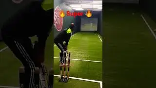 T20 fever #cricket #youtubeshorts #new #youtube #ytshorts #ytstudio #viral #psl8 #cricketlovers