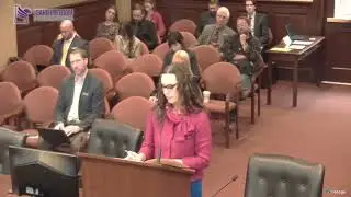Sen. Tammy Nichols introduces legislation to modernize our Son of Sam law