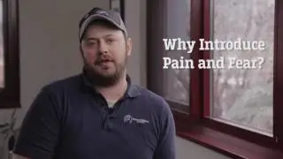 Should Shelters Use Aversive Training Methods
