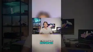 Необычные слова и фразы: Oida и его использование