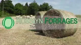 Rosslin Feeds