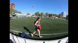 Snizzard dark vs Pudgy Pig white 051125