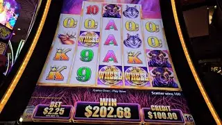 Играю в старый добрый Buffalo Grand #казино #слот #подписаться