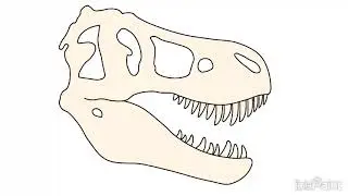 Tyrannosaurus Rex Skull Speedpaint 