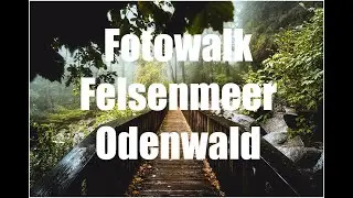 Fotowalk Felsenmeer Odenwald