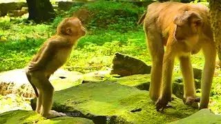 OH!! Baila and Jolie are very surprised  while make style Sovana Rojo welcome her