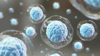 Vesicular Transport