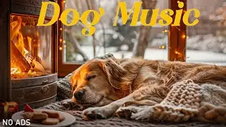12 HOURS of Dog Calming Music🐶🎵Dog Sleep Music for Anxiety😴Soft Dog Calm Music for Relief