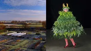 Brisk Winter Farm Mornings and Christmas Tree Dress Up | Electric Daisy Flower Farm