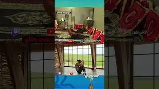 Cat yoga 