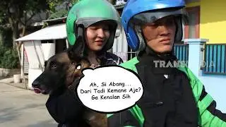 DRIVER TAKUT DIGIGIT ANJING | OJOL STORY (12/04/20)