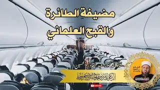 مضيفة الطائرة والقبح العلماني
