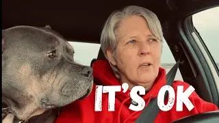 I heard Dolly’s Message 