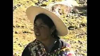 LAS CHINCHILLAS DEL NORTE POTOSI VOLUMEN 2 COMPLETO.