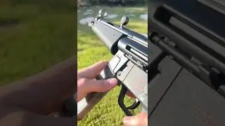 MP5/10mm #shorts
