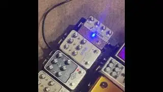 Amplified Nation Big Bloom Overdrive