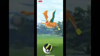 CAUGHT BIRTHDAY HAT CHARIZARD!!!