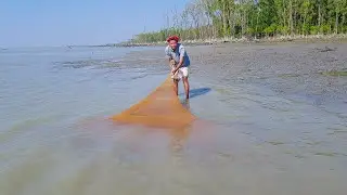 Daily Net Fishing In Village River 2022 | Fishing Culture YouTube Village Bangladesh