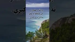 #success #pashto #quotes
