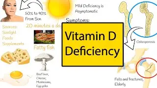 Vitamin D Function and deficiency.  Why is Vitamin D so important for you?
