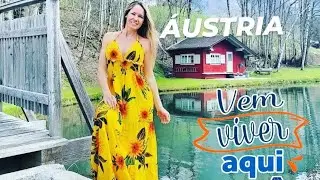 Como faço para morar na Áustria? É possível se legalizar na Áustria com contrato de trabalho? Europa