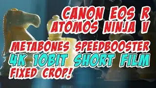 EOS R 4k + Atomos Ninja V + Metabones + Sigma 35mm 1.4 Art PAWNS OF THE GAME Short Film
