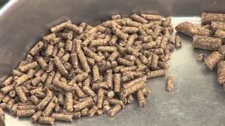 0005 Pelleted Feeds