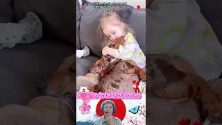 Dogs like to be with babies &hearts;️#dog #love #baby #cute #pet#bestfriend #lovestory #dogshorts #foryou
