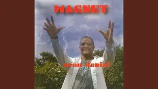 Magnet