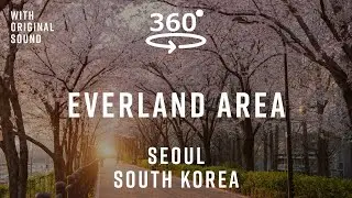 Everland Area &ndash; Seoul, South Korea 🇰🇷 | 360&deg; Walking Tour | Original Sound