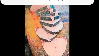 #youtubeshorts #fish #viral #fishcutting #trending #viralvideo #fishing