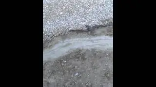 Landscape curbing installation Part 1