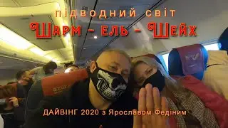 ПІДВОДНИЙ СВІТ З ЯРОСЛАВОМ ФЕДІНИМ.ДАЙВІНГ ШАРМ 2020.КЛІП,КЛИП.КЛІП.
