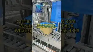 Bag Inserter Machine Food Packaging Machine Instant Carton Bag Inserting Machine