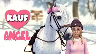 Angel | Neues Connemara 🐴 PFERDEKAUF 🐴 Star Stable Online