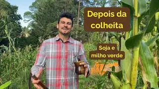 Encerrar o Milpa Não é Parar: É Seguir Construindo o Solo