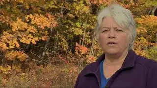 Munising Michigan -  Fall Colors