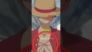 How did Luffy get his SCARS in One Piece? 💀
